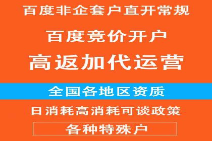 某品牌SEM广告投放效果全解析